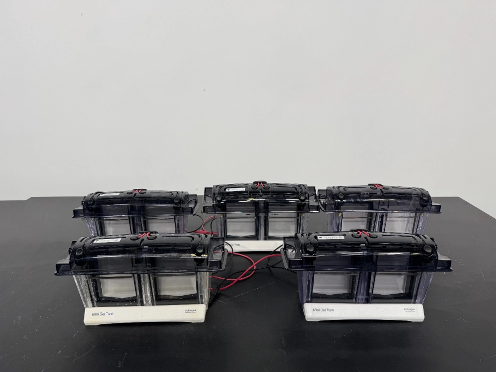 Invitrogen Mini Gel Tanks - Quantity 5