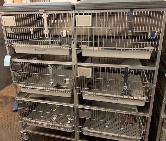 6 Cage Allentown Rabbit Rack