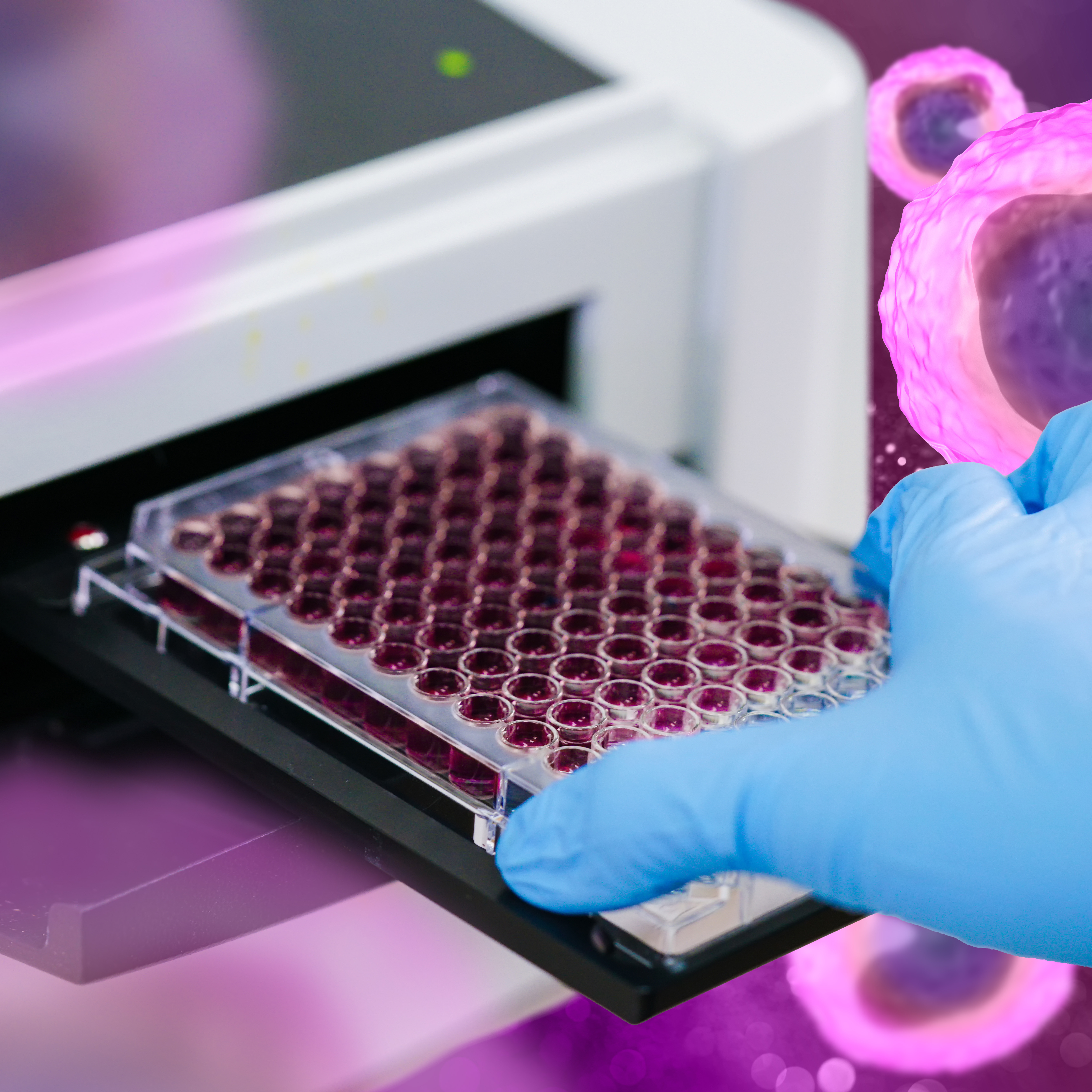 ThawReady™ - Assay Ready THP-1 Cells: 1 Vial 