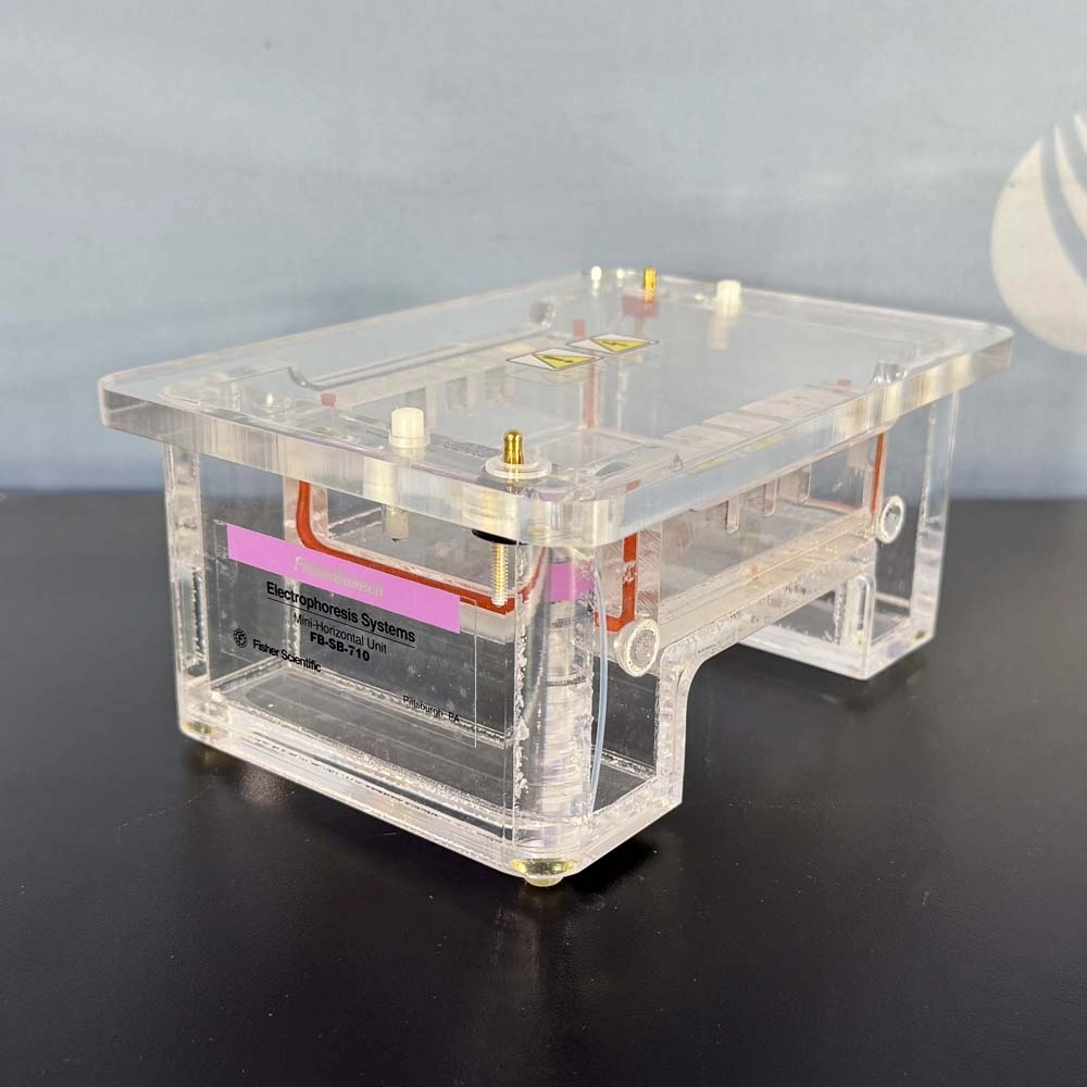 Fisher Biotech  Mini Horizontal Electrophoresis Systems FB-SB-710