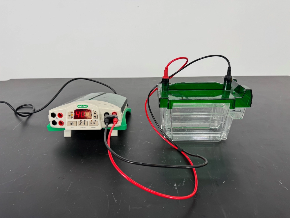 Bio0Rad PowerPac Basic Electrophoresis Power Supply w/ Criterion Cell