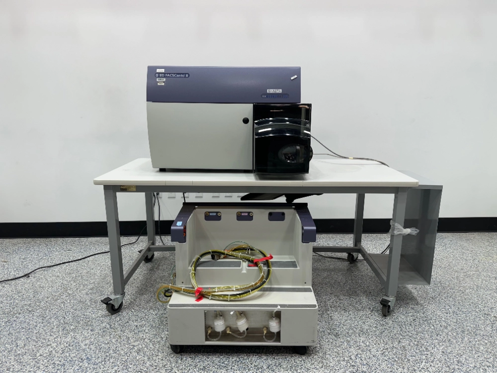 BD FacsCanto 2 Flow Cytometer