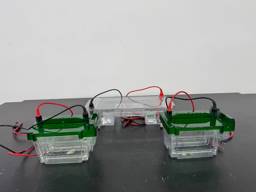 Bio-Rad Electrophoresis Cells - Quantity 3