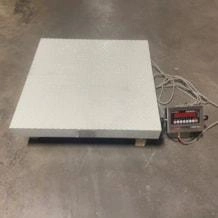 Avery Weigh-Tronix DS3030SA-01 Floor Scale