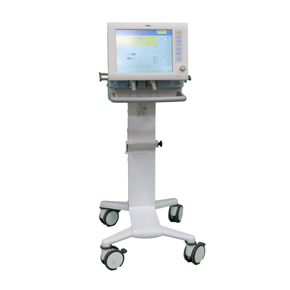 Main Image