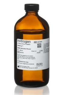 Buffer Saturated Phenol 400 mL