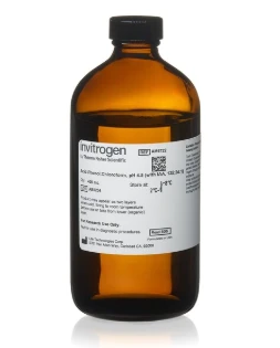 Acid Phenol: Chloroform 400 mL ea