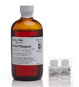 TRIzol™ Max™ Bacterial RNA Isolation Kit, 200 Preps