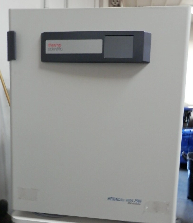 Thermo Heracell VIOS 250i LK Single-Chamber CO2 Incubator