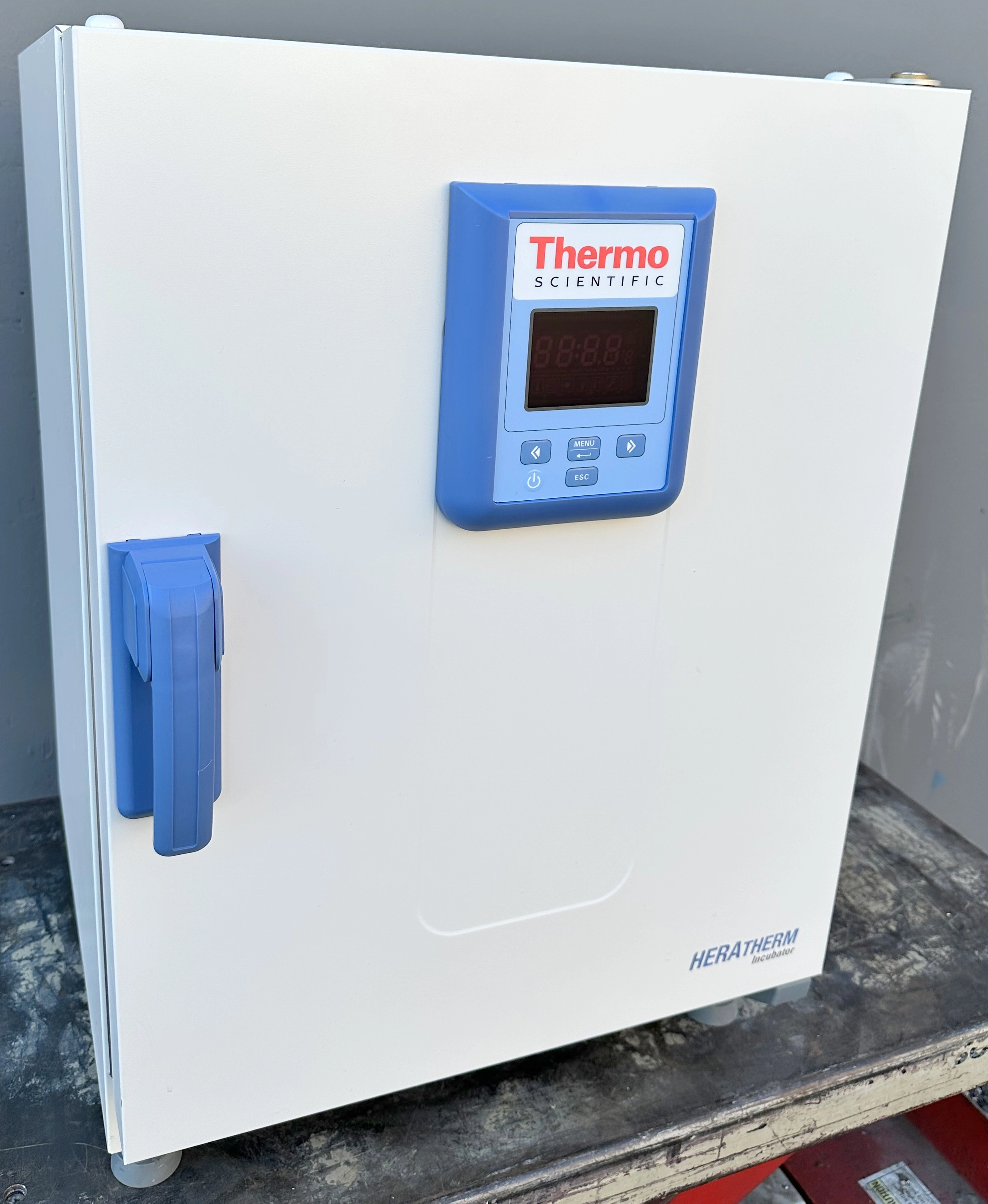 Thermo HERATHERM IGS60 Incubator