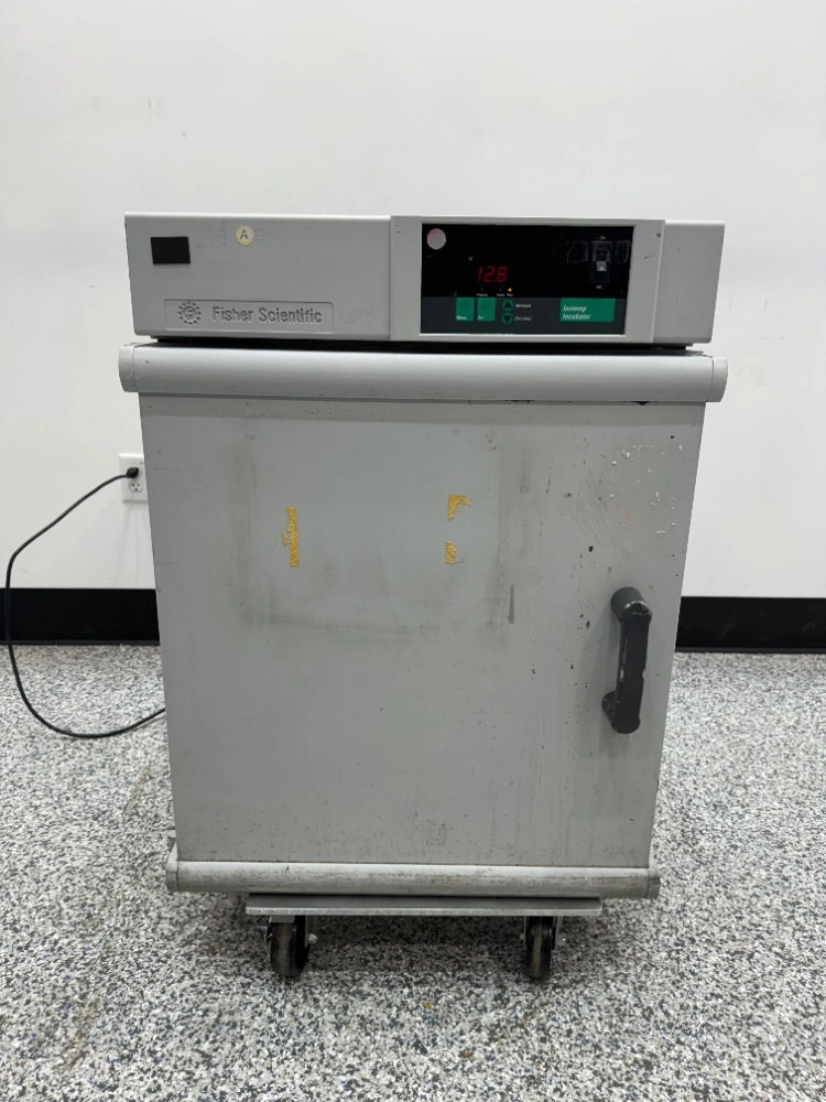 Fisher Scientific Isotemp Incubator