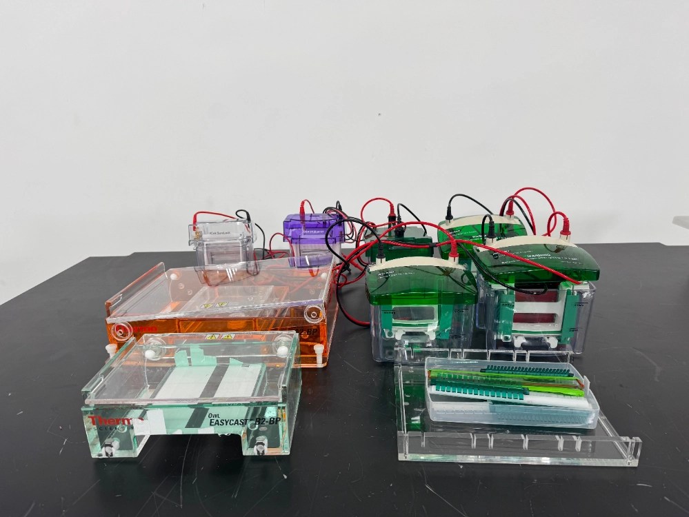 Electrophoresis Gel Boxes - Quantity 7