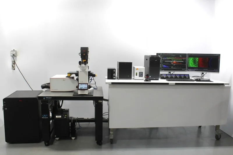 Leica DMi8 Stellaris 5 Confocal Laser Scanning Fluorescence