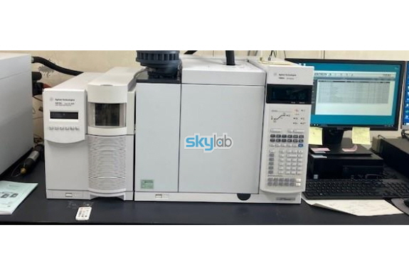 Agilent GC/MS 7890A-5975C