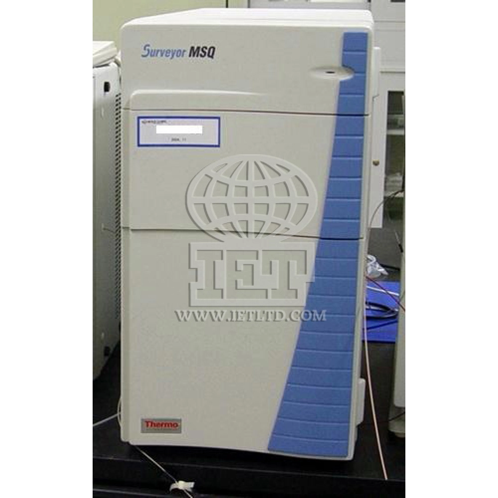 Thermo MSQ