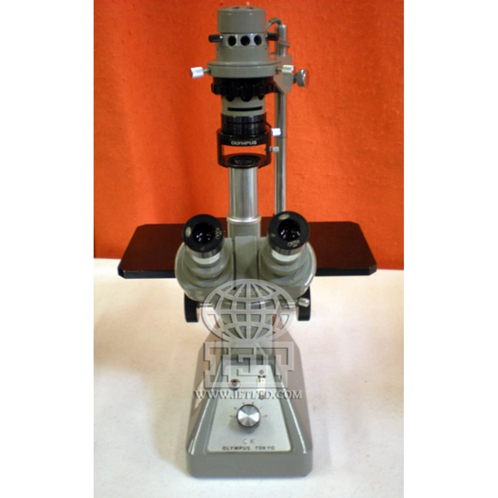 Olympus CK inverted microscope.