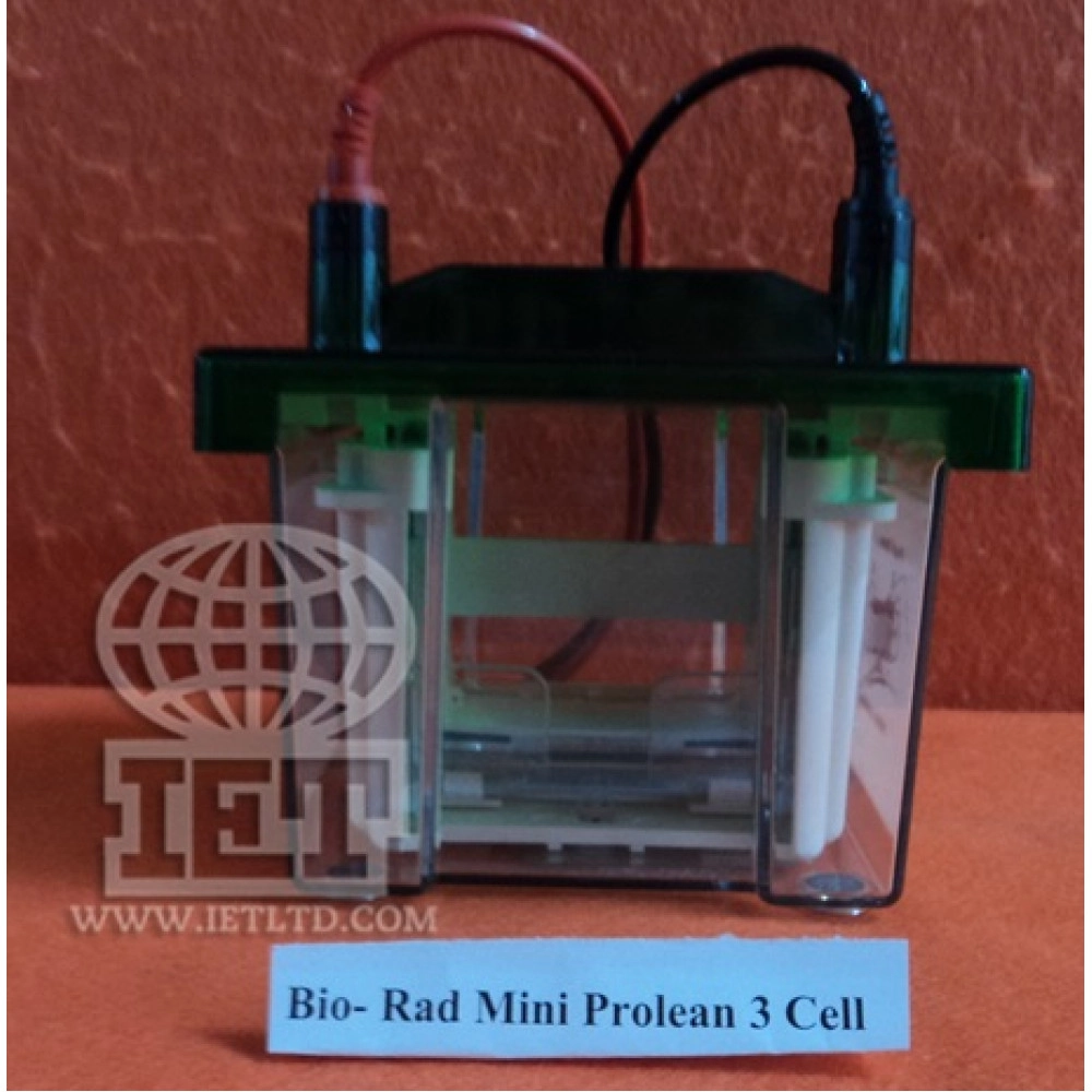 Mini Protean 3 Cell