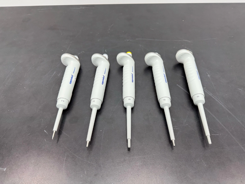 Eppendorf Reference 2 Single Channel Pipettes Quantity - 5