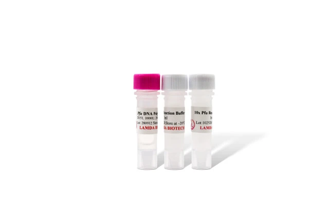 Pfu DNA Polymerase, High-Fidelity