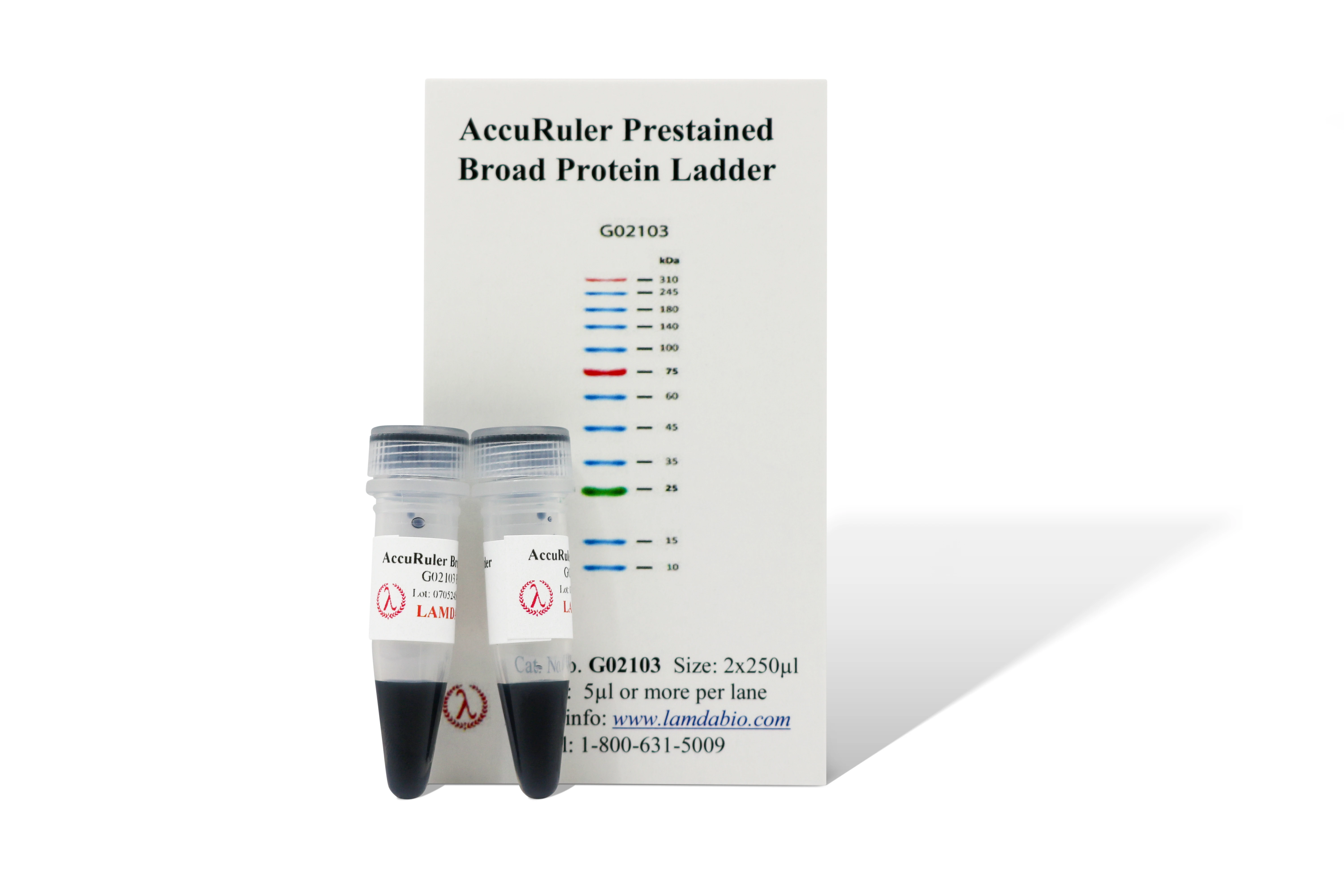 AccuRuler Broad™ Prestained Protein Ladder