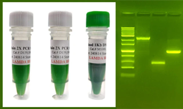 SafeStain™ 2X PCR Master Mix