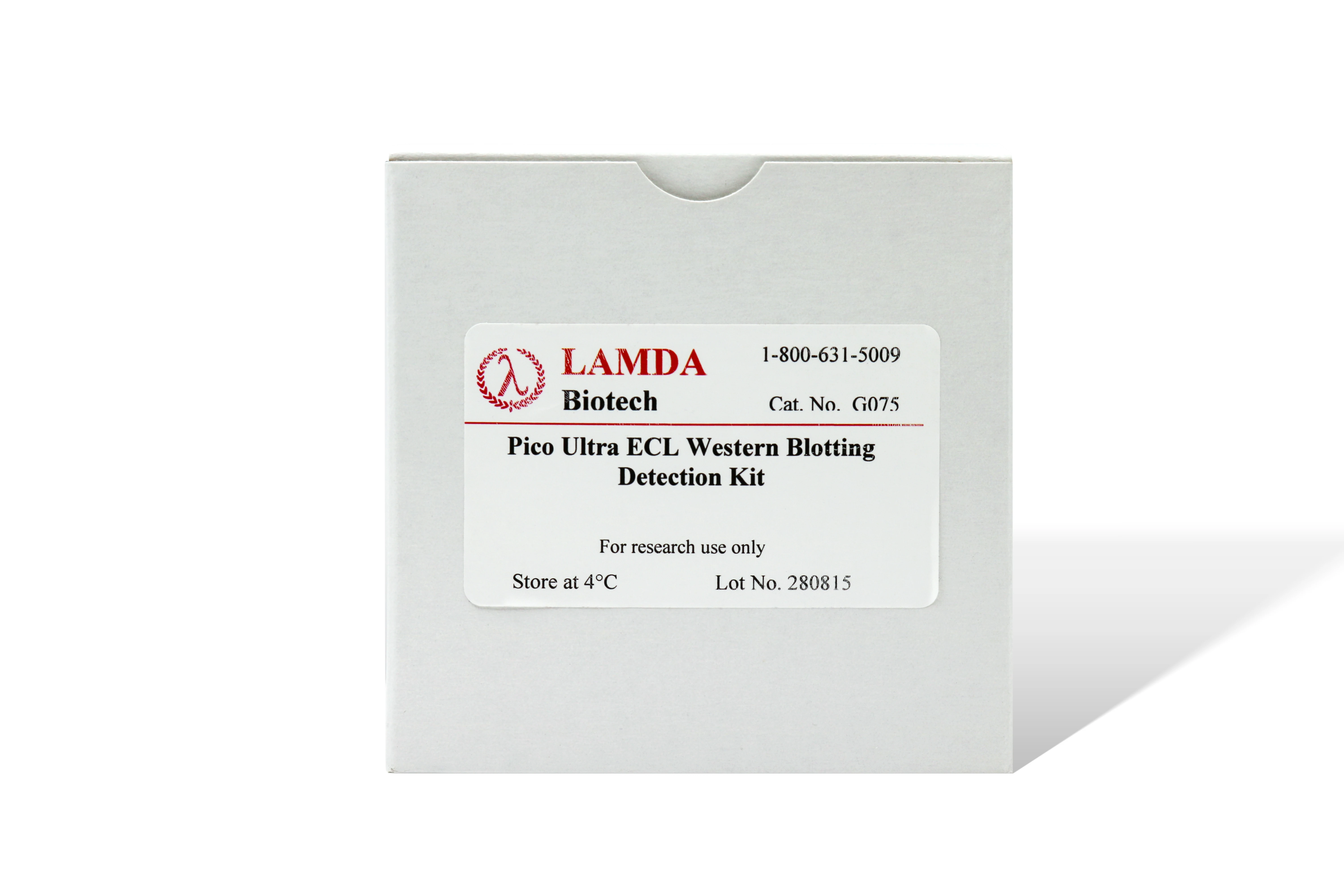 ECL Western Blotting Detection Kit