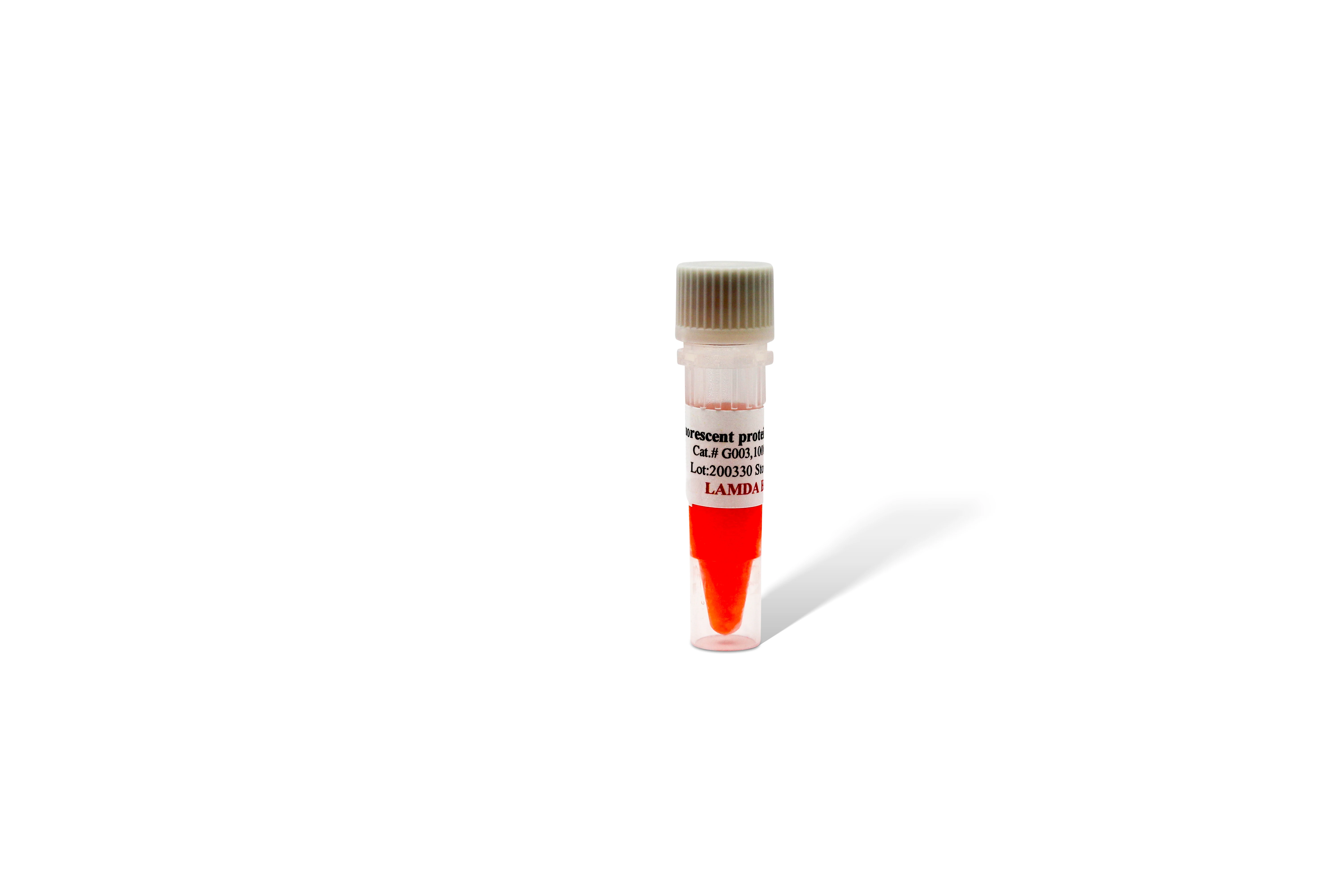 Protein Gel SafeStain