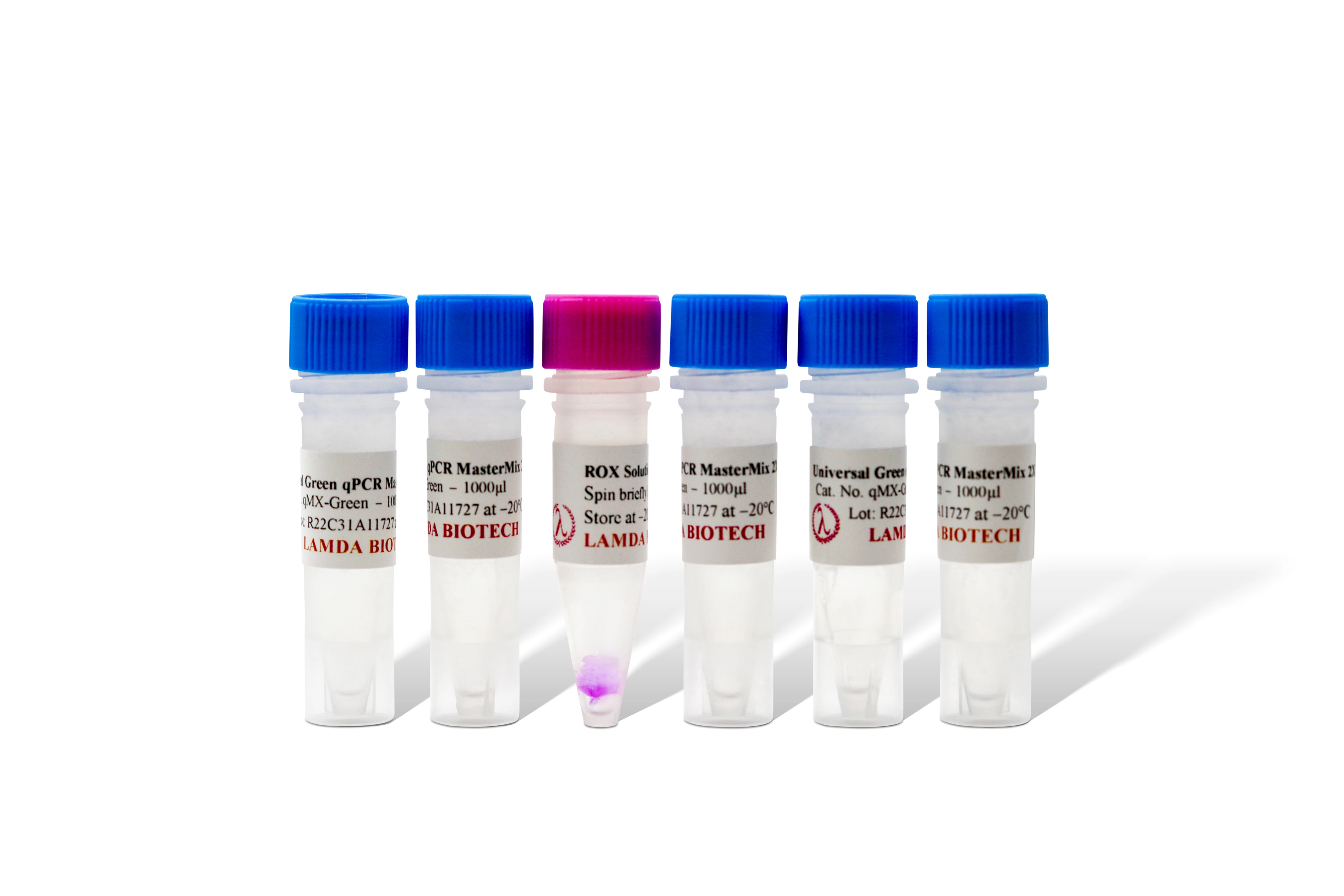 2X qPCR Green Master Mix, 5ml