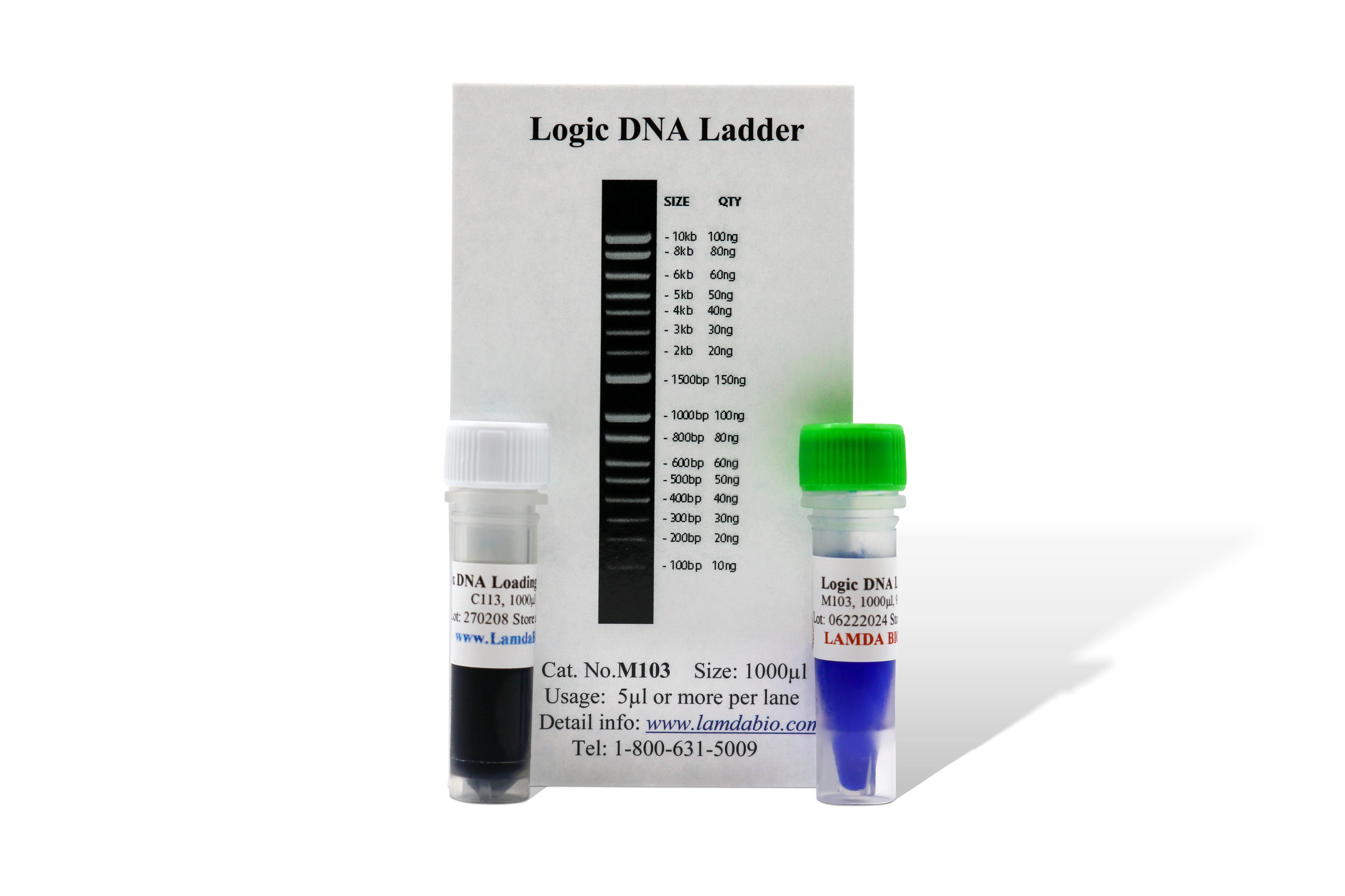 1Kb Quantitative Logic DNA Ladder