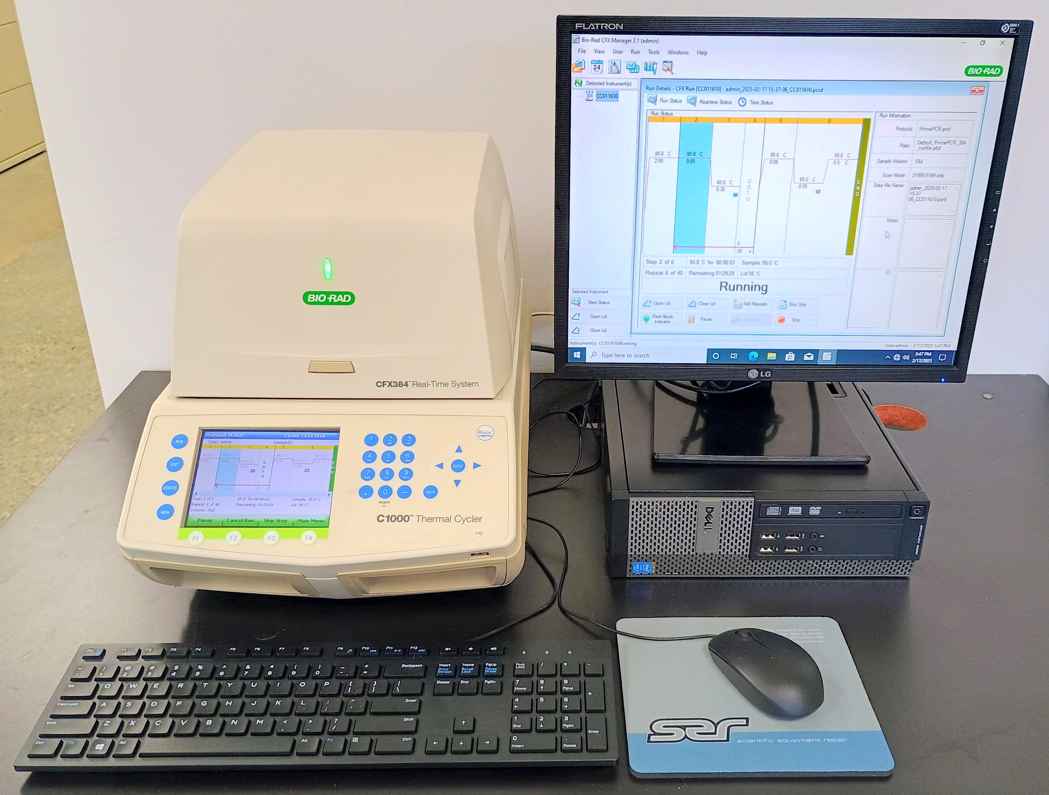 Bio-Rad C1000 Thermal Cycler with CFX384 Real-Time PCR System