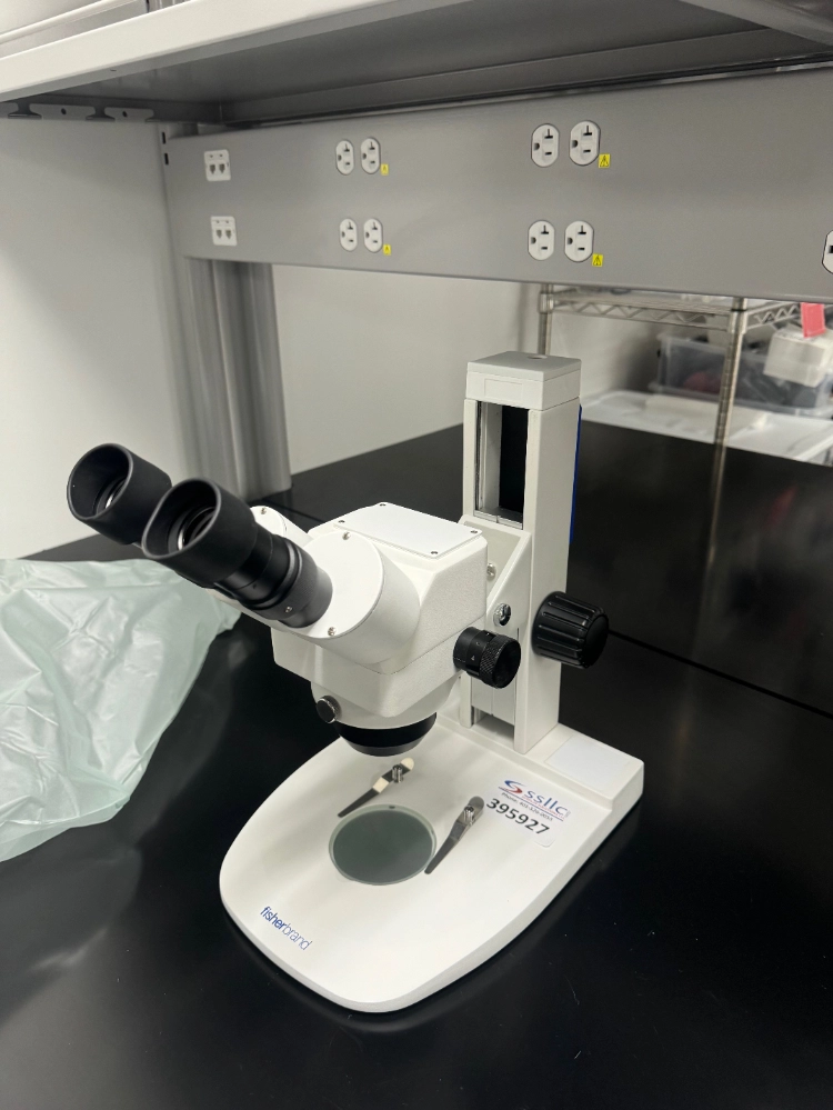 Fisherbrand Stereo Microscope