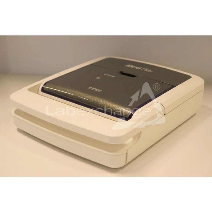 Life Technologies iBind Flex Western