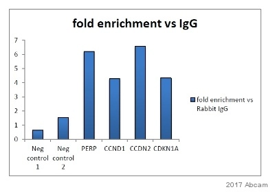 Anti-Histone H3 (tri methyl K27) antibody [mAbcam 6002] - ChIP Grade