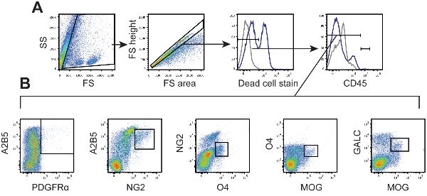 APC/Cy7® Conjugation Kit - Lightning-Link®