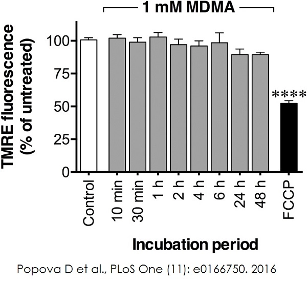 TMRE-Mitochondrial Membrane Potential Assay Kit