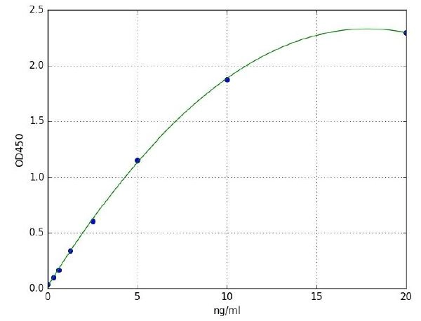 Human Collagen Type I ELISA Kit
