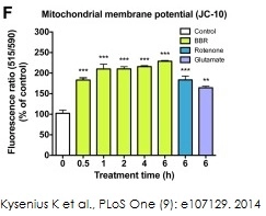 JC-10 Mitochondrial Membrane Potential Assay Kit (Microplate)