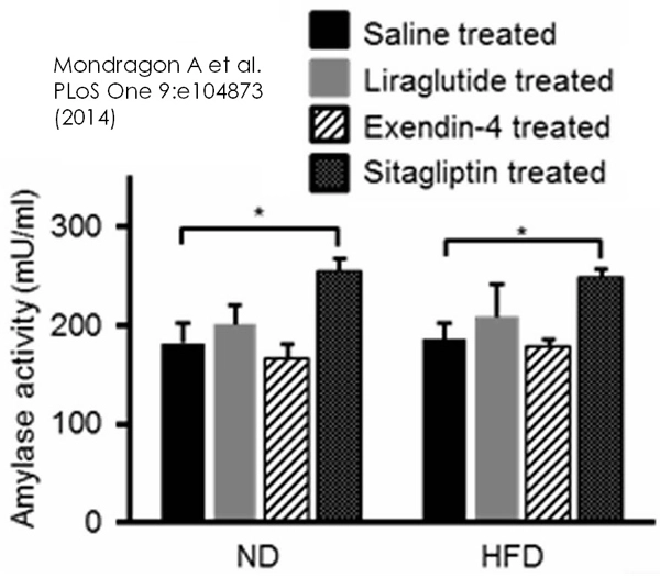 Amylase Assay Kit (Colorimetric)