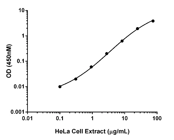 Human Frataxin ELISA Kit (10 x 96 well plate)(AB201121)