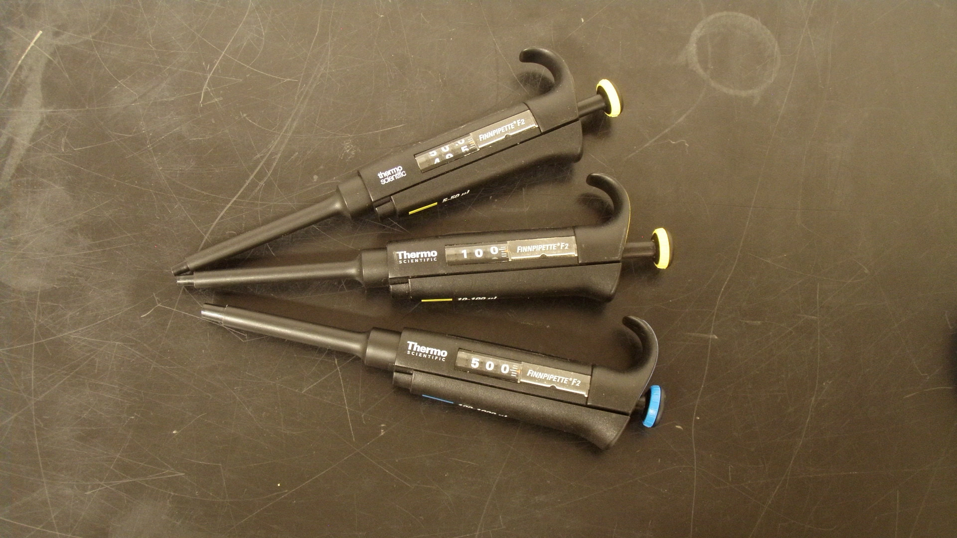 Thermo Scientific  Finnpipette F2, QTY 3, 5 - 1000 uL