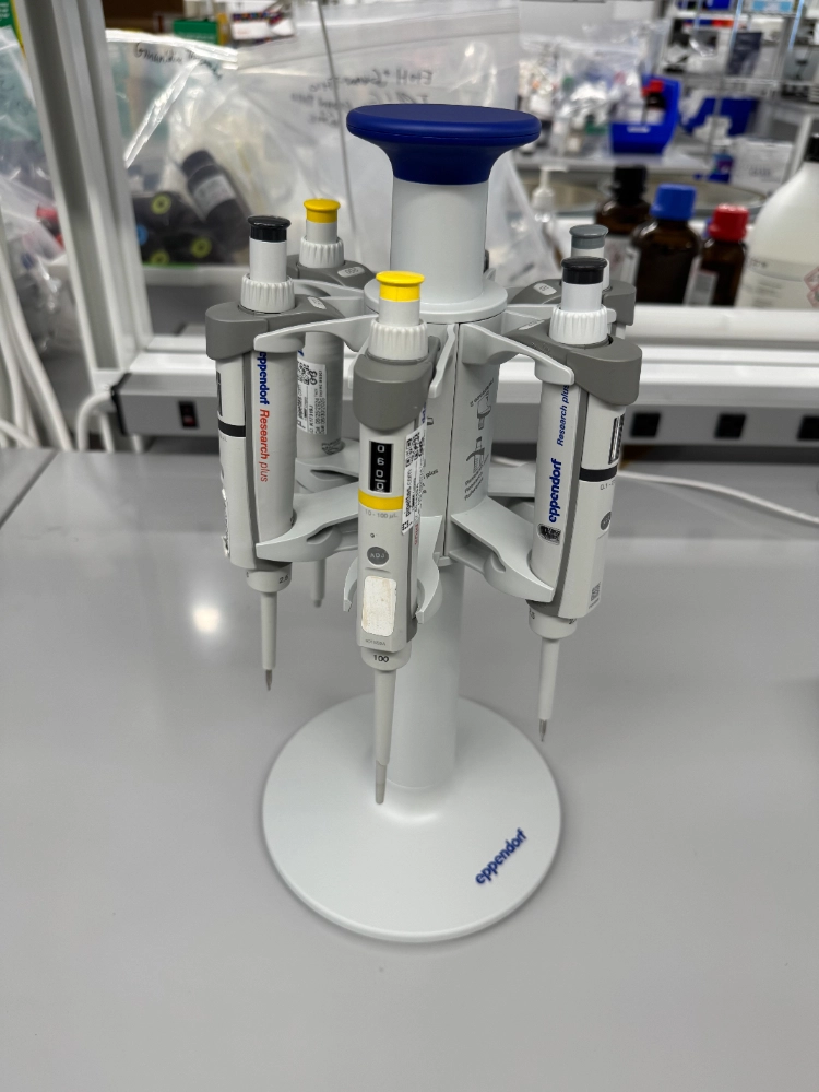 (6) Eppendorf Research Plus Single Channel Pipettes