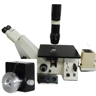 Main Image