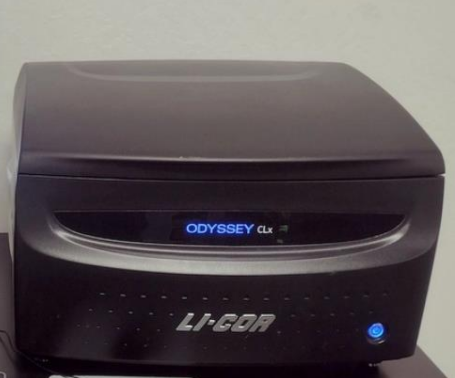 Li-Cor Odyssey CLx Imaging System