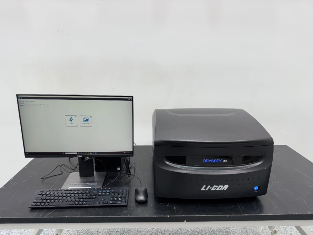Li-Cor Odyssey DLx Imaging System