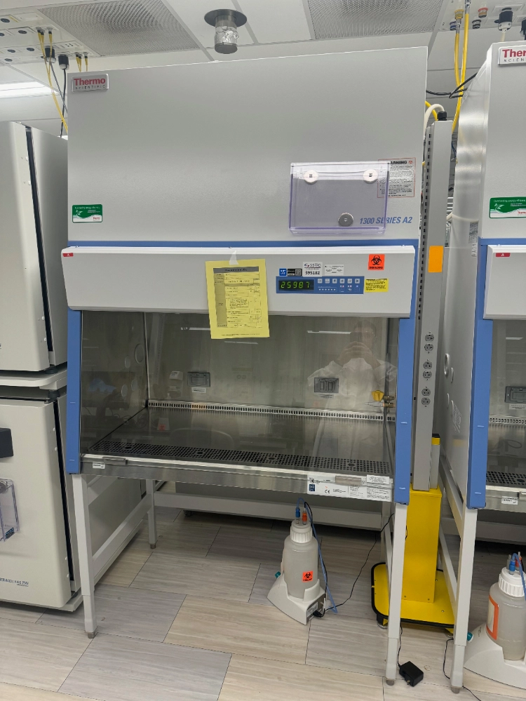 Thermo 1300 Series A2 4' Biosafety Cabinet