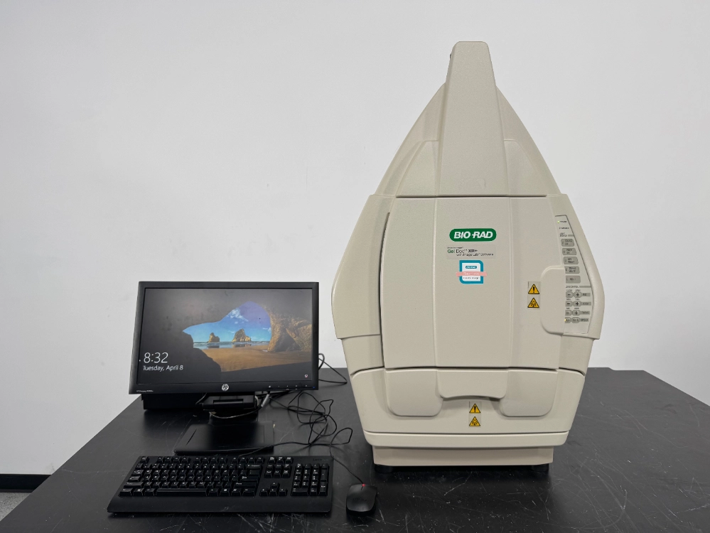 Bio-Rad Gel Doc XR + Molecular Imager