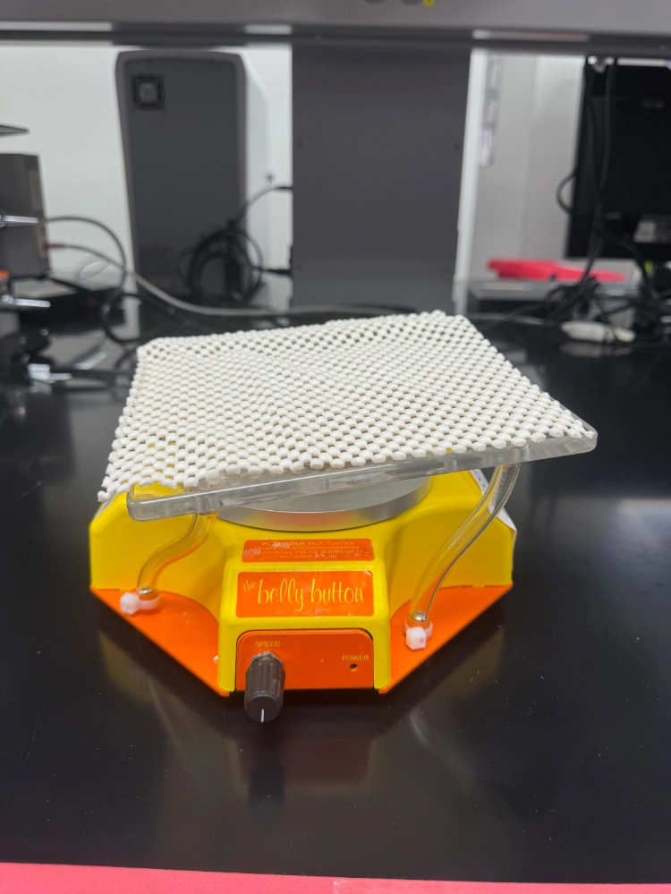 IBI Scientific The Belly Dancer Platform Shaker