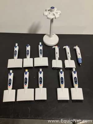 Lot 376 Listing# 1058652 Lot of 11 Multichannel Biohit Pipettes and 1 Biohit Pipette with Stand