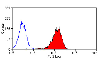 ABCA1 Antibody | 5A1-1422