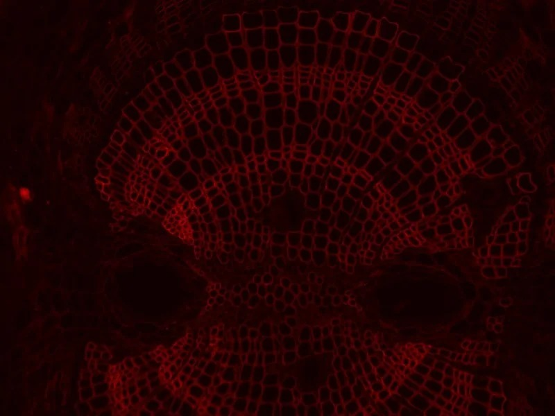 Thumbnail 25
